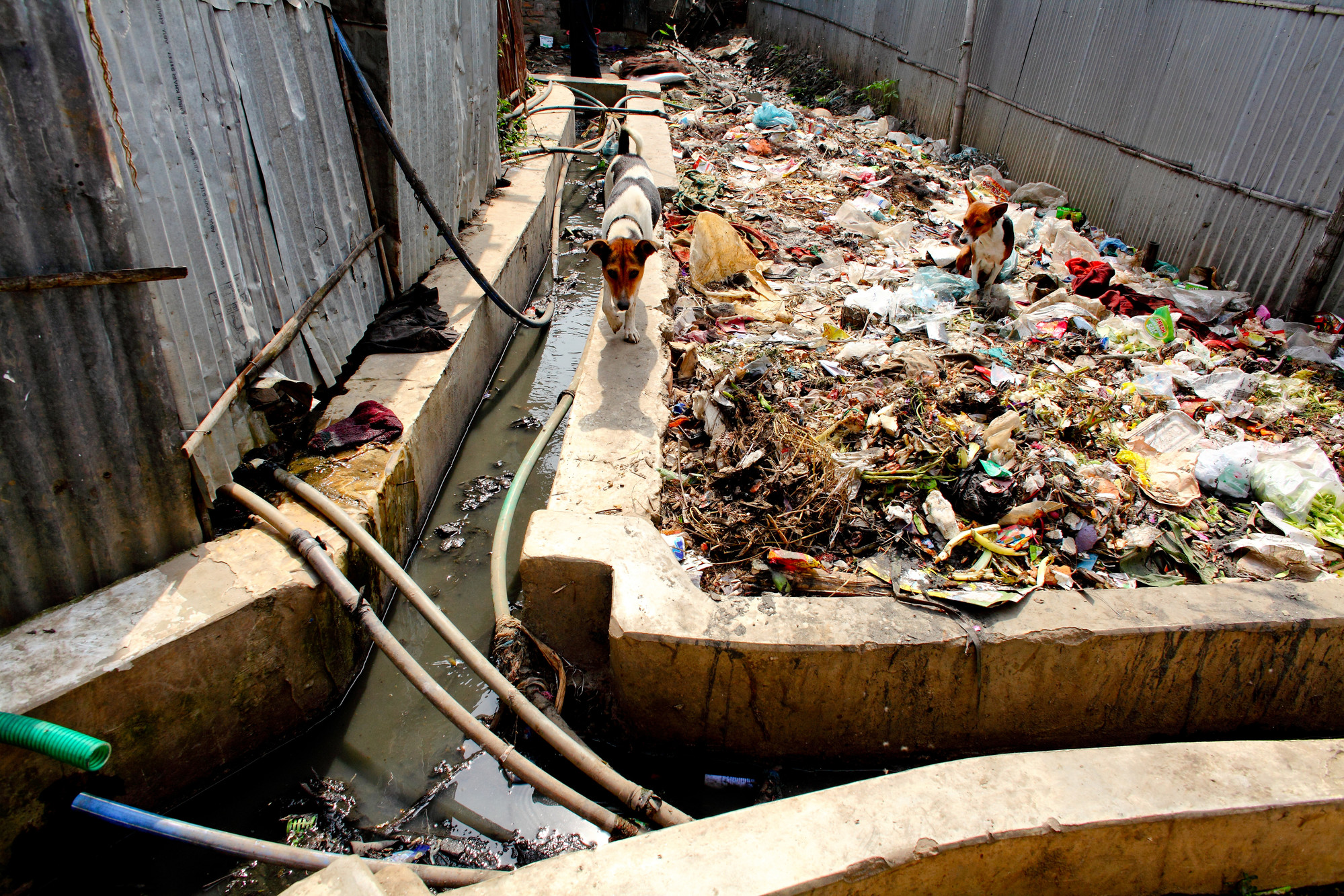 Assessing organisational capacity for sanitation planning and investment in three Bangladeshi cities